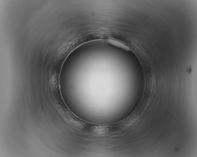 X0000112100088200908111428