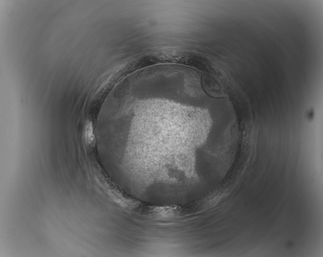 X0000112100089200908111428