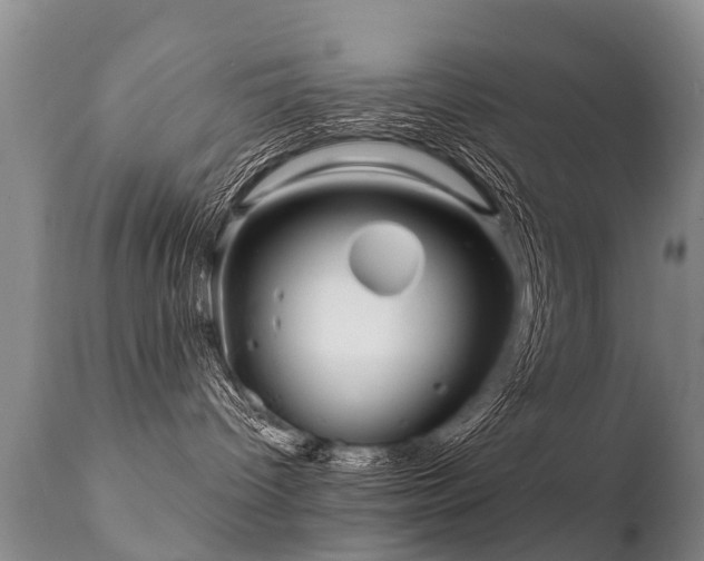 X0000112100096200908111428