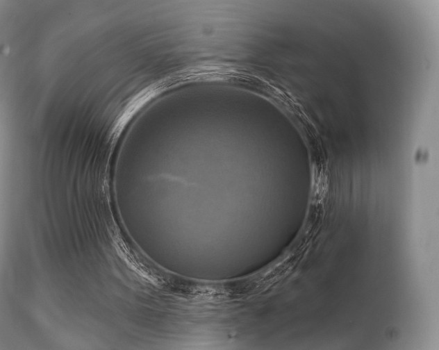 X0000112100099200908111428