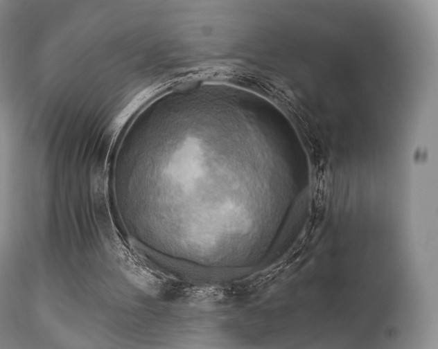 X0000112100100200908111428