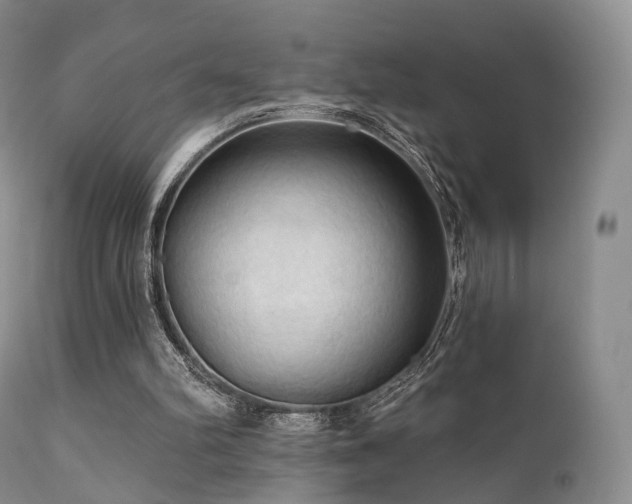 X0000112100102200908111428