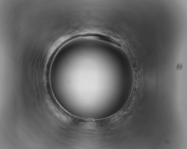 X0000112100104200908111427
