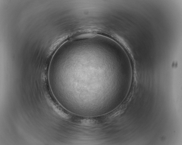 X0000112100105200908111427