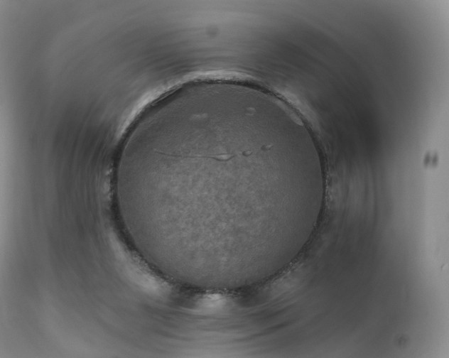 X0000112100111200908111427