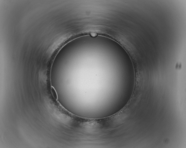 X0000112100112200908111427