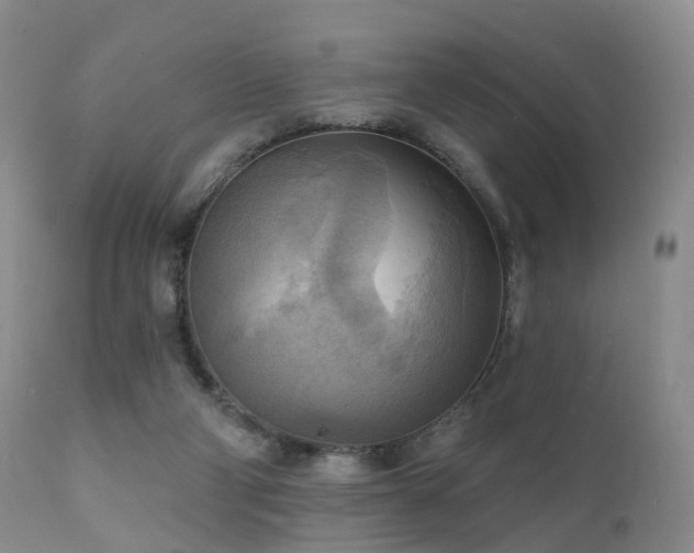 X0000112100114200908111427
