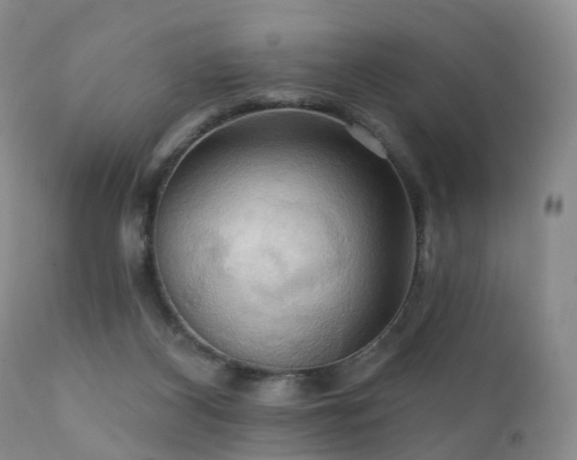 X0000112100116200908111427