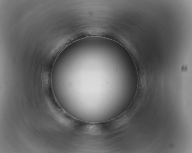X0000112100117200908111427