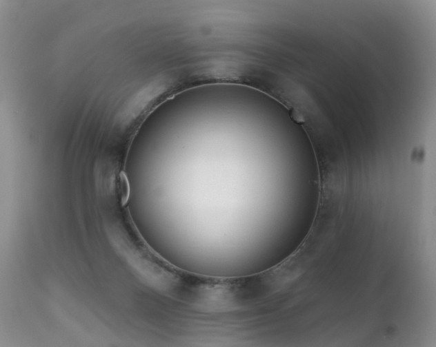 X0000112100120200908111427