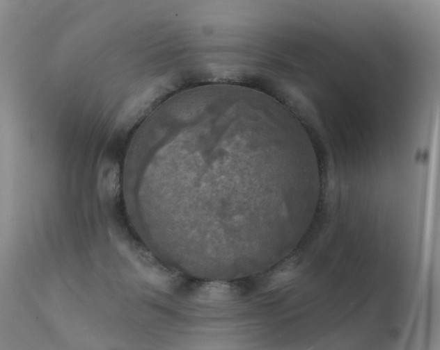 X0000112100123200908111427