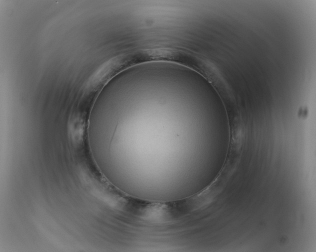 X0000112100124200908111427