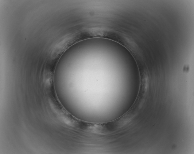 X0000112100125200908111427