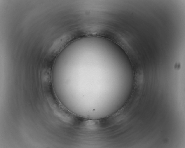 X0000112100126200908111427