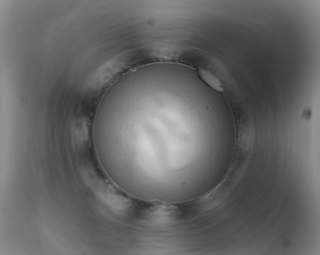 X0000112100128200908111427
