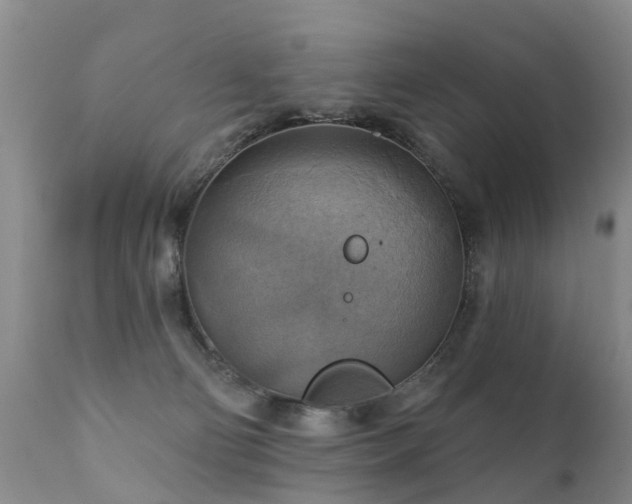 X0000112100130200908111427