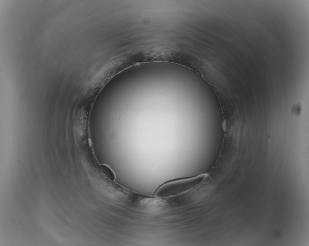 X0000112100133200908111427