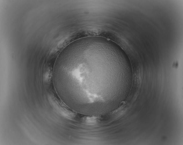 X0000112100134200908111427