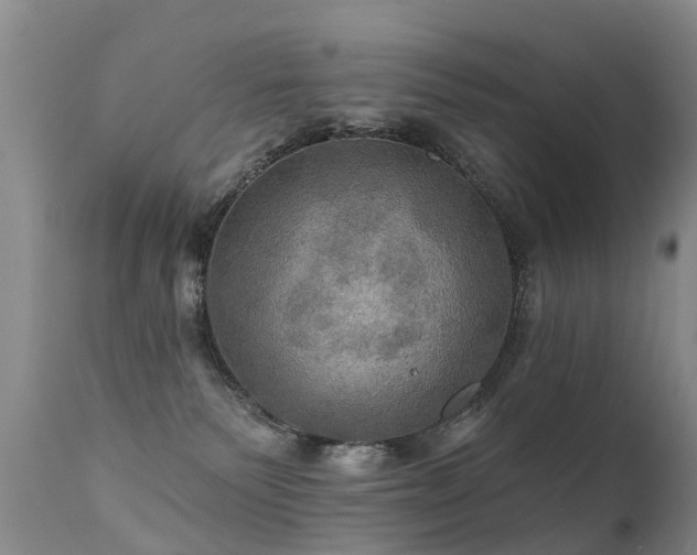 X0000112100135200908111427