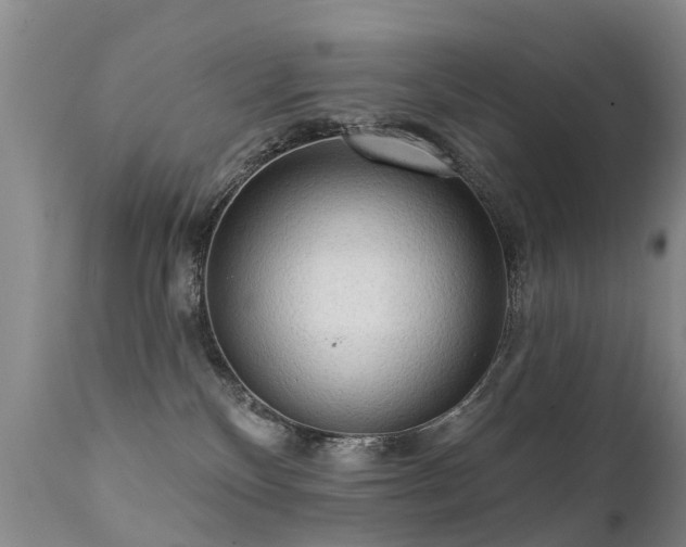X0000112100136200908111427