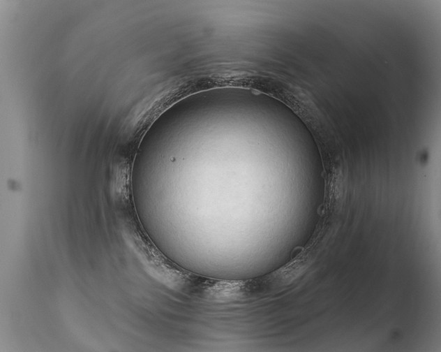 X0000112100138200908111427
