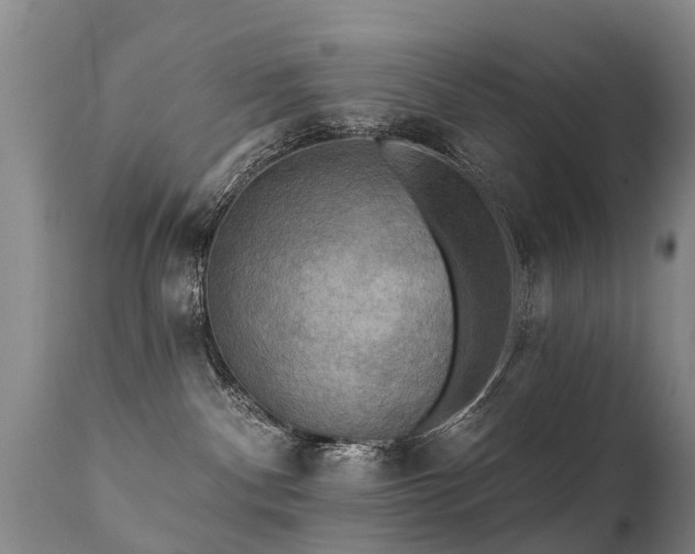 X0000112100140200908111427