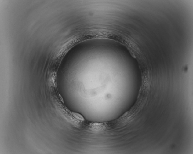 X0000112100141200908111427