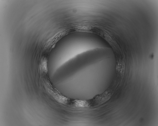 X0000112100143200908111427