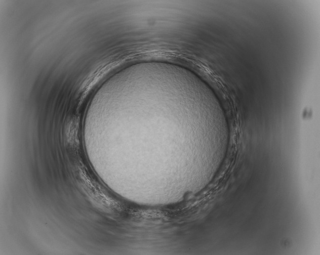 X0000112100146200908111426