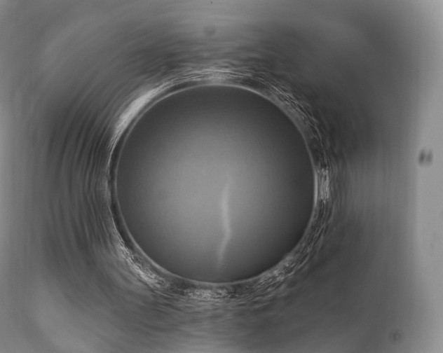 X0000112100147200908111426