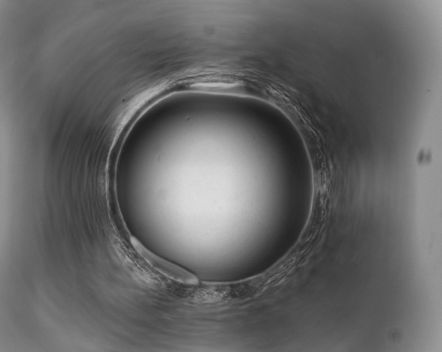 X0000112100148200908111426