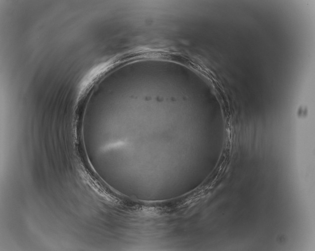 X0000112100149200908111426