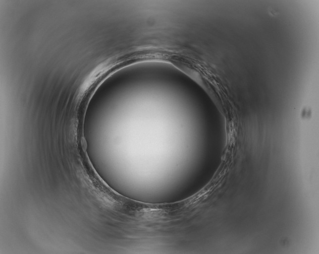 X0000112100150200908111426