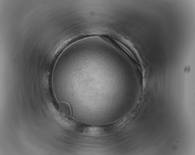 X0000112100154200908111426