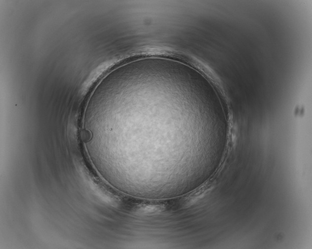 X0000112100155200908111426