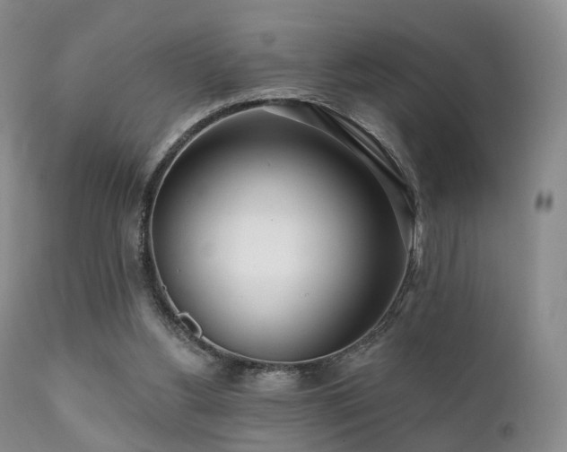 X0000112100156200908111426