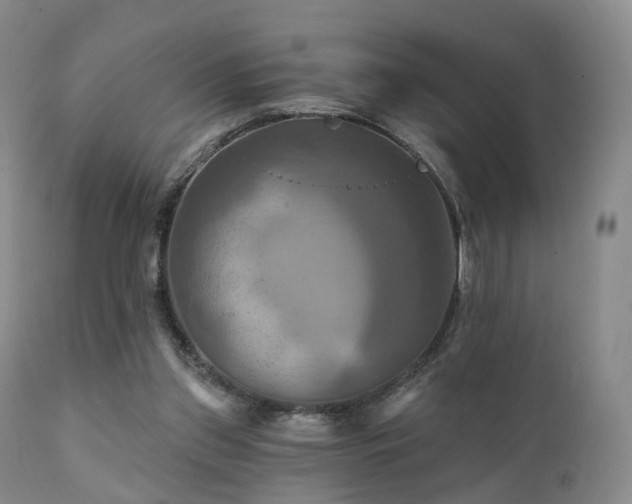 X0000112100157200908111426