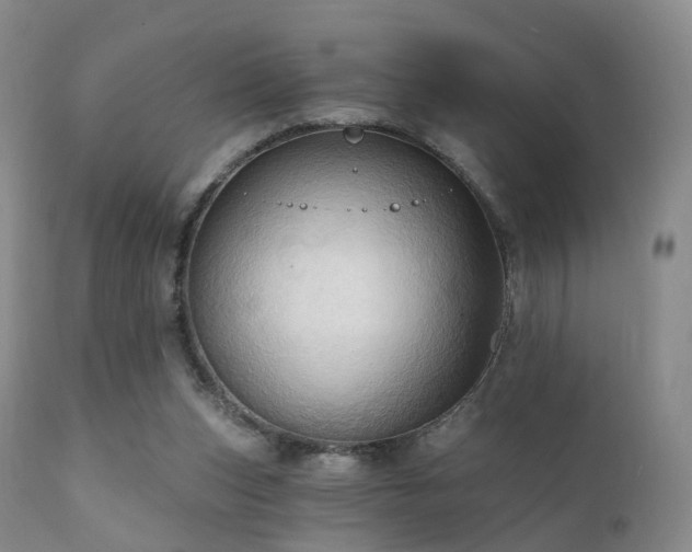 X0000112100159200908111426