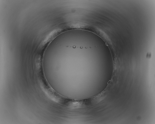 X0000112100163200908111427