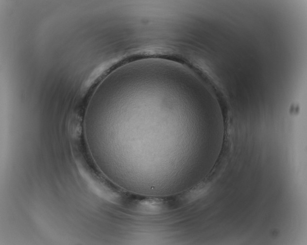 X0000112100164200908111427