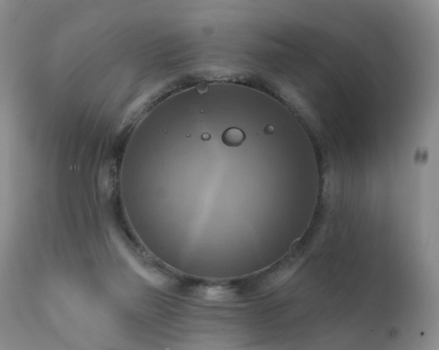 X0000112100165200908111427