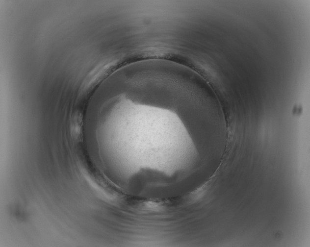 X0000112100166200908111427