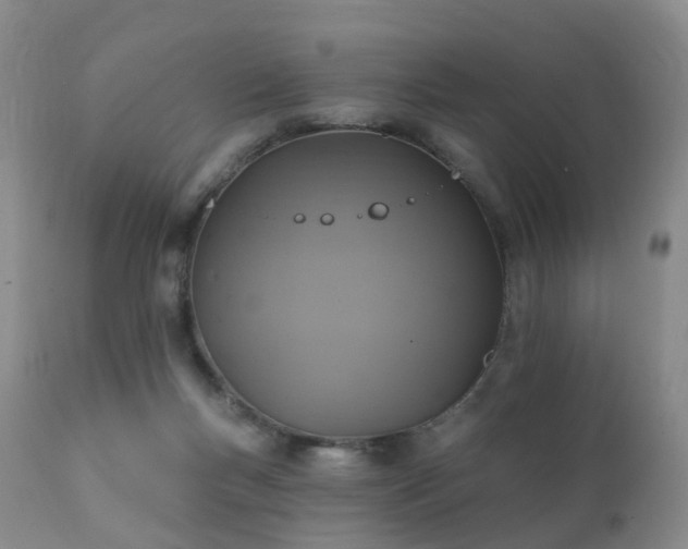 X0000112100167200908111427
