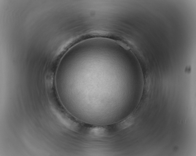 X0000112100168200908111427