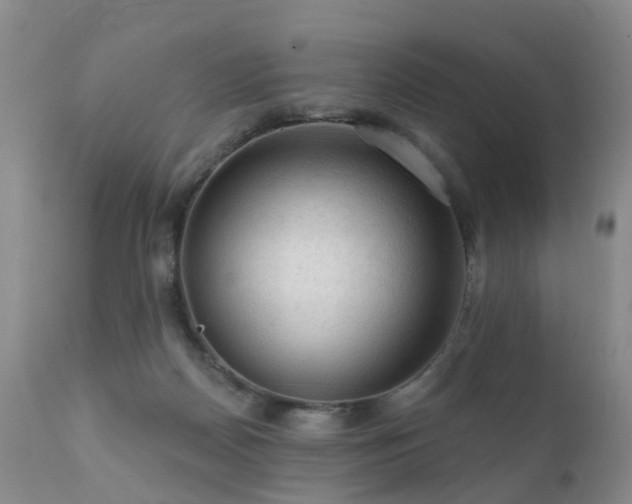 X0000112100170200908111427