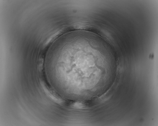 X0000112100171200908111427