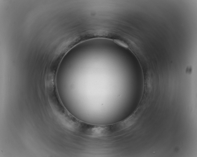 X0000112100172200908111427