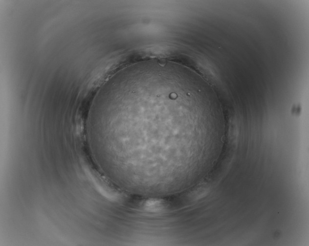 X0000112100173200908111427