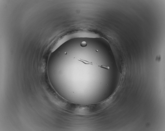 X0000112100174200908111427