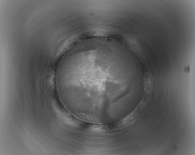 X0000112100175200908111427